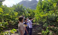 Los agricultores en zonas montañosas promueven la transformación digital