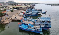 Ninh Thuan fortalece la lucha contra la pesca ilegal