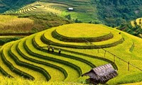 Bahía de Ha Long y Mu Cang Chai entre destinos más coloridos del mundo