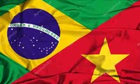 Vietnam y Brasil afianzan la cooperación multifacética