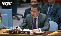 Vietnam solicita una mayor cooperación internacional a favor de los derechos de las mujeres y la igualdad de género