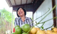 El jardín de lanzón, un producto turístico potencial de Ca Mau