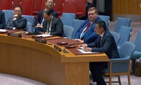 Vietnam solicita mayor protección para civiles en los conflictos armados