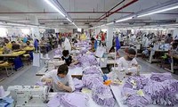 Vietnam fortalece la cooperación con Brasil, su mayor socio comercial en América Latina