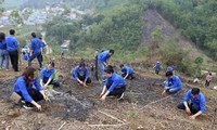 Educación en habilidades verdes para jóvenes: la clave para la transición ecológica en Vietnam