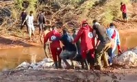 Naciones Unidas solicita mayores esfuerzos frente a consecuencias de inundaciones en Libia