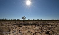 Esfuerzos acelerados del mundo frente al cambio climático