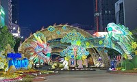 Calle de flores de Nguyen Hue atrae a turistas en Ciudad Ho Chi Minh