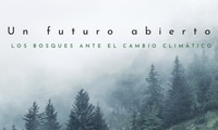 Exposición en Hanói sobre el papel de los bosques en el cambio climático