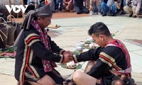 Ritual de quitar el brazalete que marca la madurez de los Ede en Dak Lak