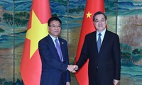 Vicepremier de Vietnam se reúne con su homólogo chino