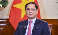 Diplomacia vietnamita avanza en la era del despegue nacional