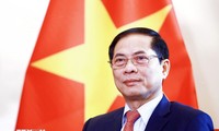 Diplomacia contribuye a abrir perspectivas para desarrollo de Vietnam en nueva era, afirma Canciller