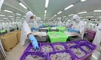 Vietnam se consolida como el segundo mayor proveedor de productos acuáticos para Brasil