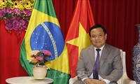 Belém y la ASEAN fortalecen lazos rumbo a la COP30