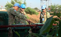 Fuerzas de paz vietnamitas en misión de la ONU se suman al Día Mundial del Medio Ambiente