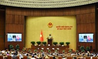 Participación en misiones de paz de la ONU consolida proyección internacional de Vietnam