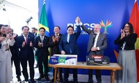 Vietnam y Brasil: una conexión estratégica para la cooperación global