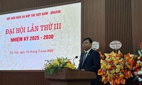 Vietnam y Brasil fortalecen su cooperación integral en el nuevo contexto internacional