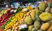 Exportaciones de frutas y hortalizas de Vietnam rozan los 4.000 millones de dólares en siete meses