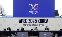 Cumbre de APEC y reuniones relacionadas en el punto de mira
