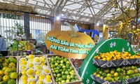 Impulsar la marca de los productos agrícolas vietnamitas desde la primera Feria de Otoño