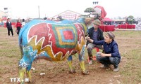 Concurso de pintura y decoración de búfalos realza el Festival Tich Dien Doi Son