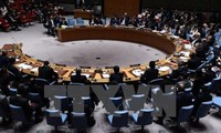 Bolivia asume la presidencia del Consejo de Seguridad de la ONU