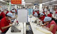 Vietnam y la Unión Económica Euroasiática abordan el despliegue del Tratado de Libre Comercio