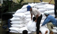 Corea del Sur ofrece 10 mil toneladas de arroz a las provincias afectadas por tifón