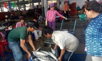 Vietnam por aumentar el valor de exportación de mariscos 