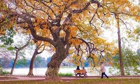 El fascinante otoño de Hanói en la música