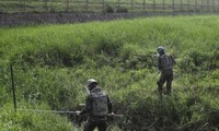 Las dos Coreas comienzan a remover minas en la zona desmilitarizada