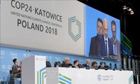 Comunidad internacional se esfuerza por realizar Acuerdo de París sobre cambio climático