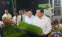 Comienza tercer Festival del Arroz en Vietnam