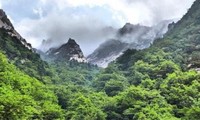 Corea del Norte y Corea del Sur realizan reunión conjunta en montaña de Geumgang