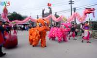 Festival de la aldea de Nom