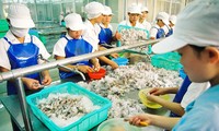 Sector de productos acuáticos de Vietnam por lograr 10 mil millones de dólares de exportación