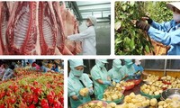 Agricultores vietnamitas ante oportunidades y retos de integración global  