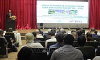 Vietnam y República Checa aumentan cooperación multifacética 