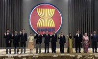 Asean y Rusia celebran XVIII reunión del Comité Conjunto de Cooperación