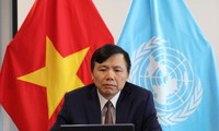 Vietnam expresa preocupación por la crisis humanitaria en Yemen