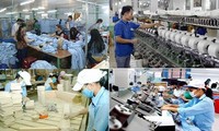 Empresas vietnamitas por desarrollarse en el período posterior al Covid-19