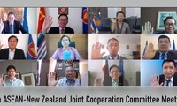 Asean y Nueva Zelanda por fortalecer asociación estratégica