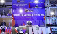 Medio singapurense resalta el papel de Vietnam como presidente de la Asean 