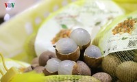 Promueven el longan vietnamita en Australia