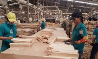 Las exportaciones de madera y muebles vietnamitas crecen en medio del covid-19