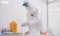 Vietnam por acelerar la producción del test rápido de antígenos