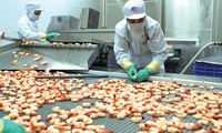 Vietnam espera exportar productos marítimos por 8 mil 900 millones de dólares en 2020