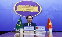 Celebran VII Consulta Política de Viceministros de Relaciones Exteriores Vietnam-Brasil